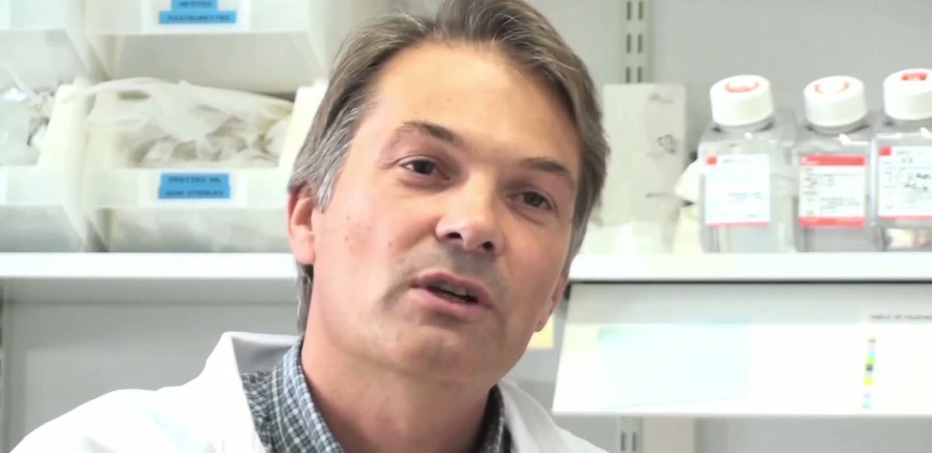 Qu'est-ce que le chikungunya ?