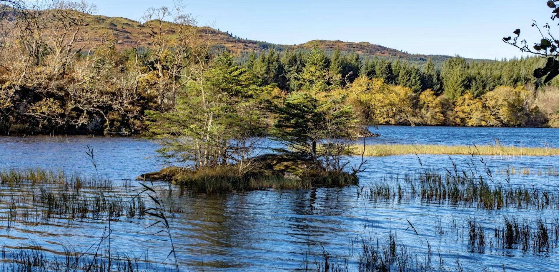 Crannog