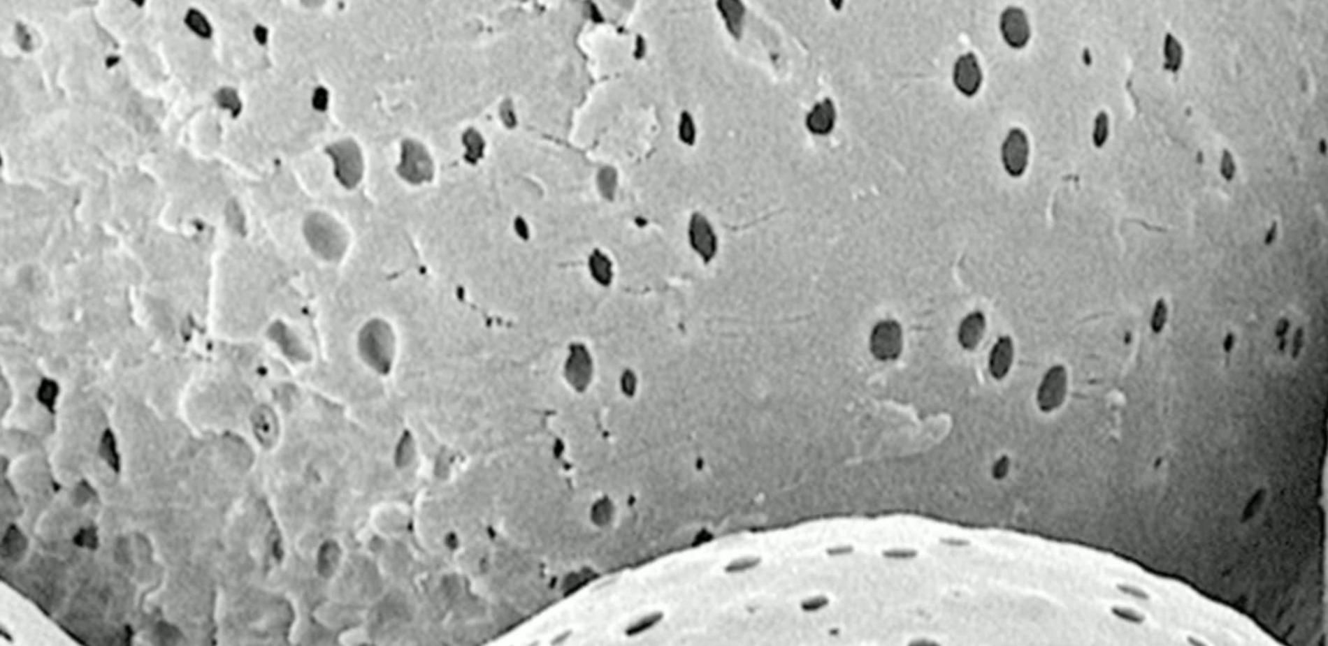Capsules de polymères