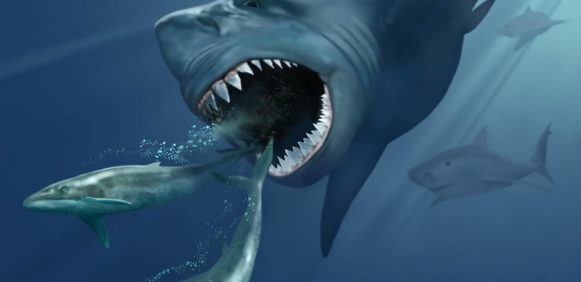 Le mégalodon