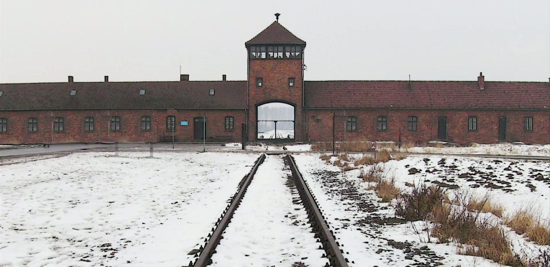 Ludvik Fleck : typhus contre Wehrmacht
