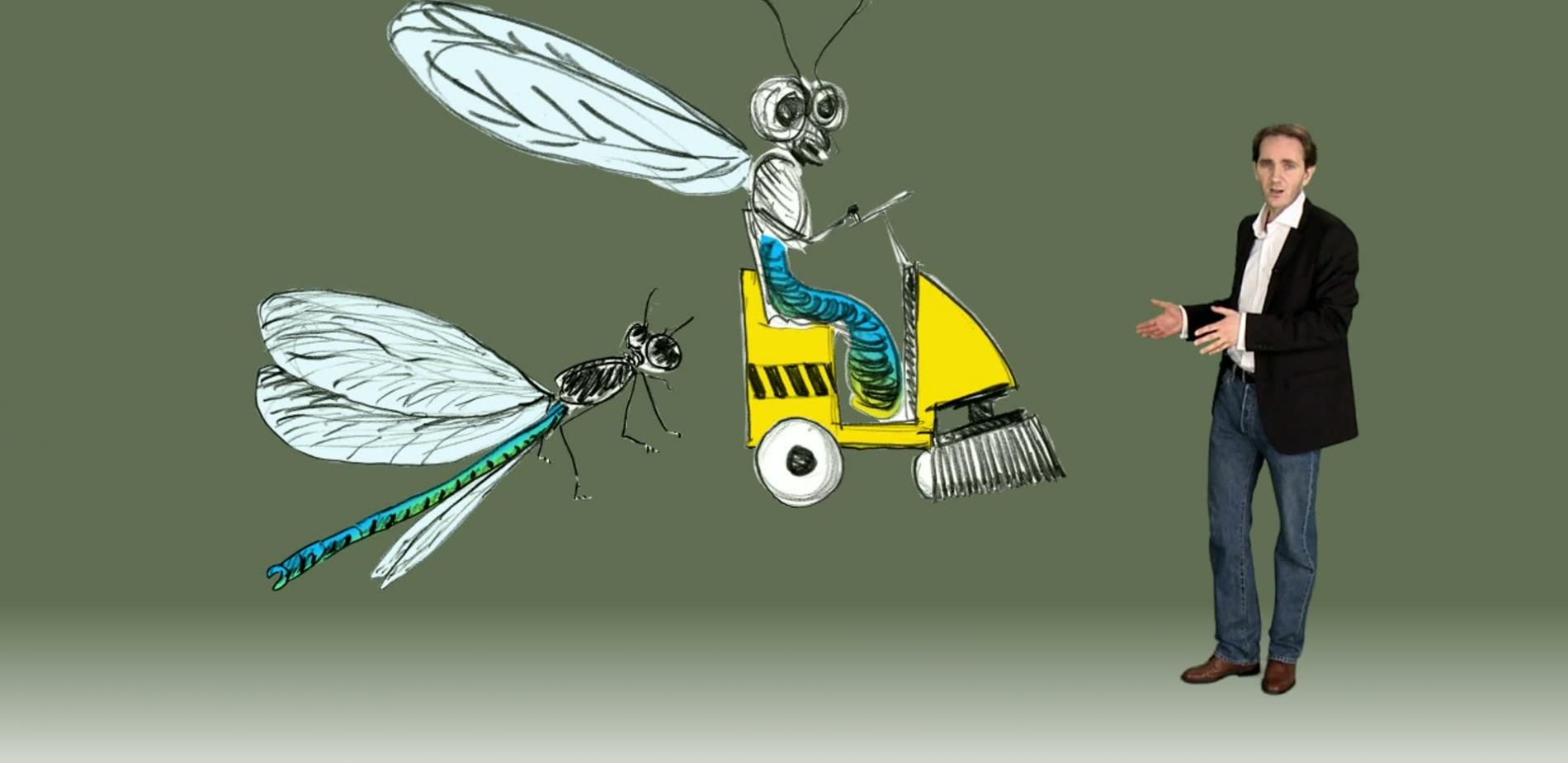 Geoff Parker : Le comportement animal, la compétition spermatique