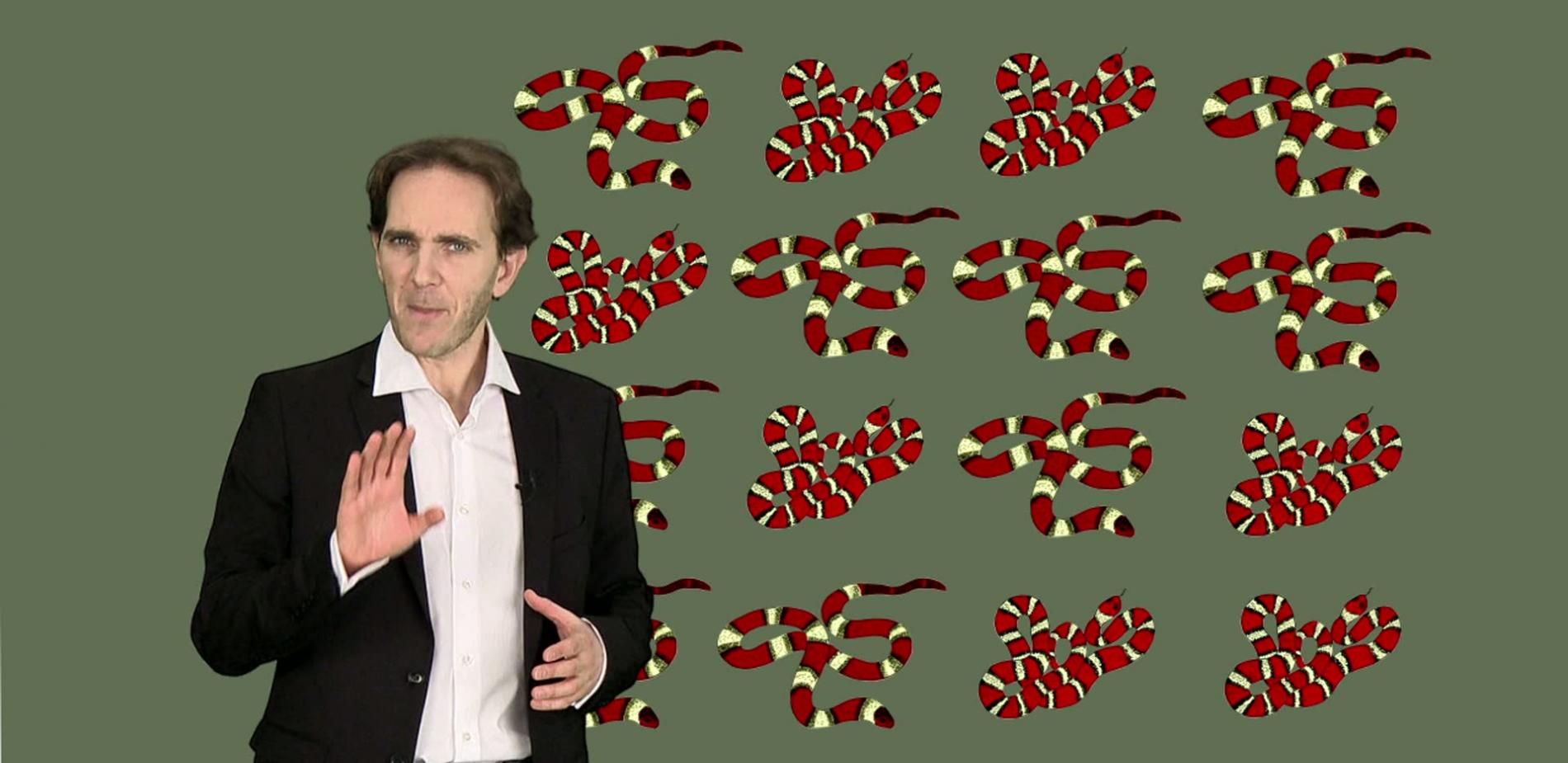 Henry Walter Bates : Le comportement animal, l'évolution du mimétisme