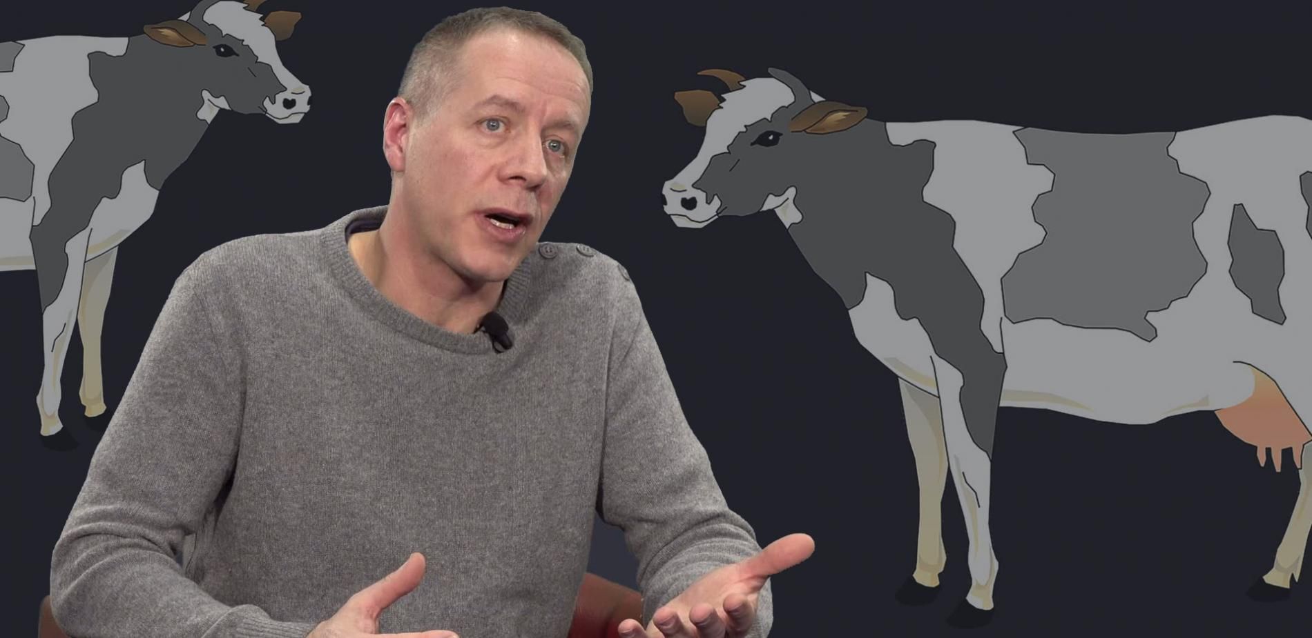 Crise de la vache folle, 20 ans après