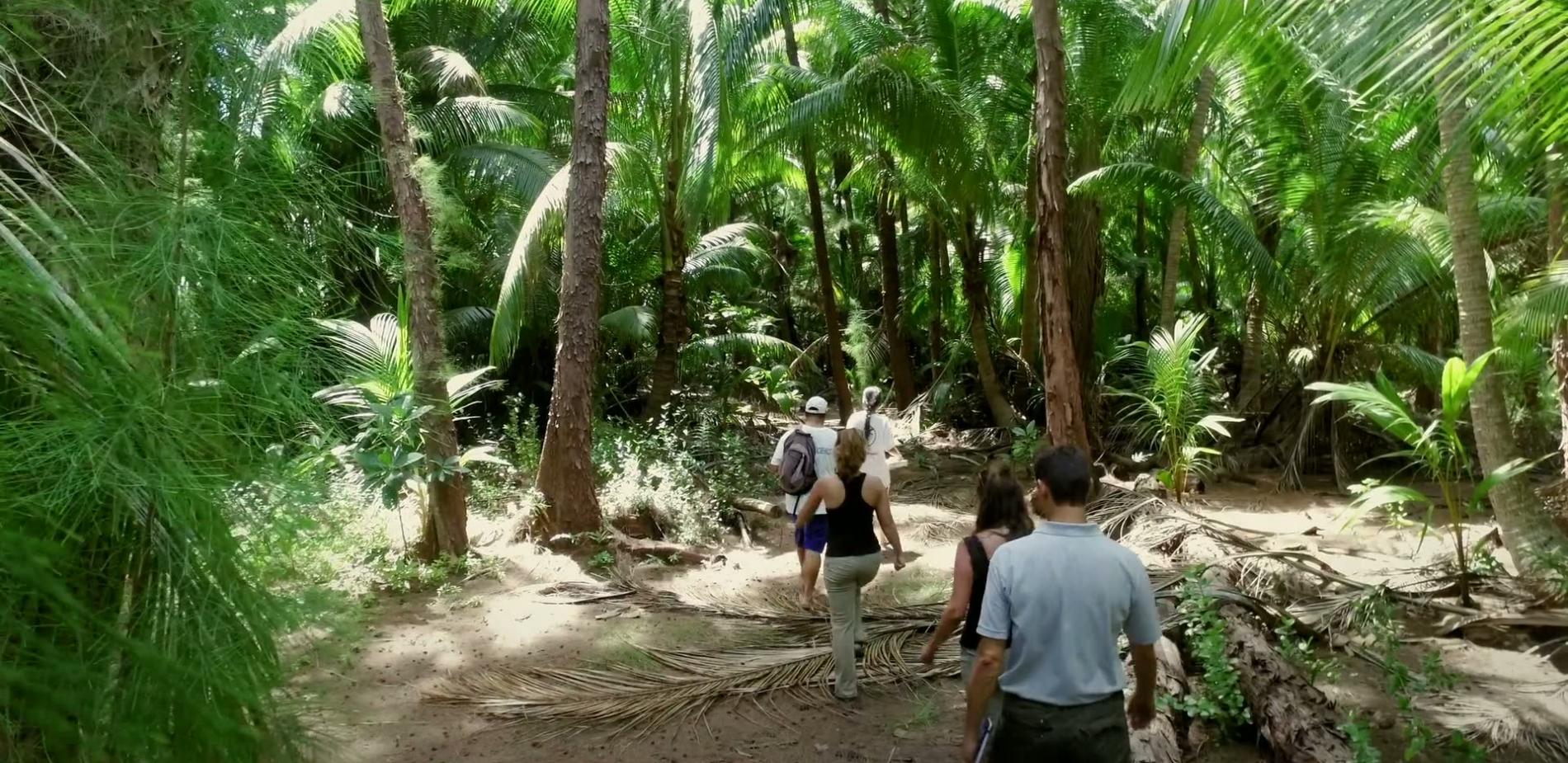 Polynésie, un écosystème sous haute surveillance #2