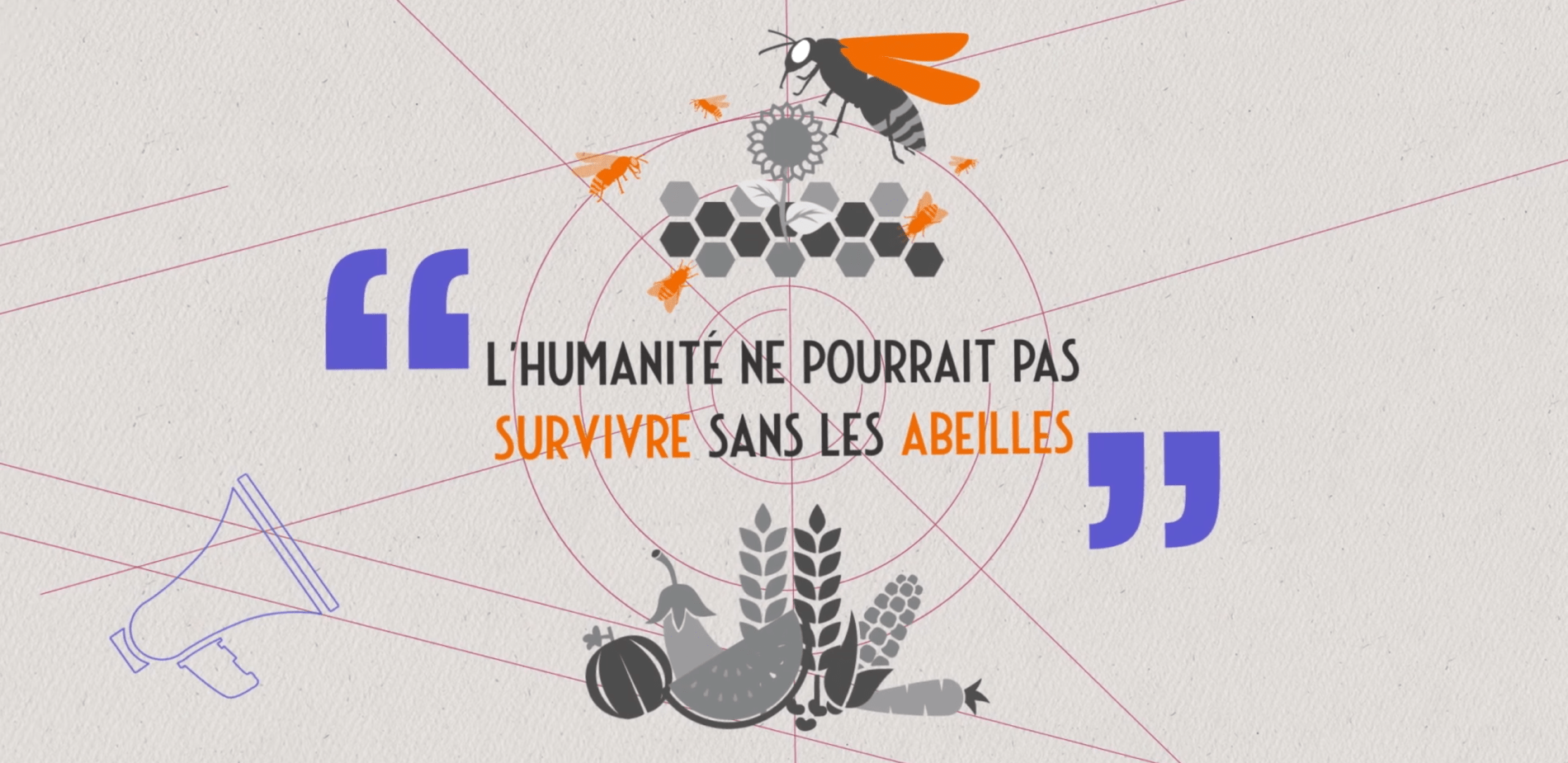 abeilles