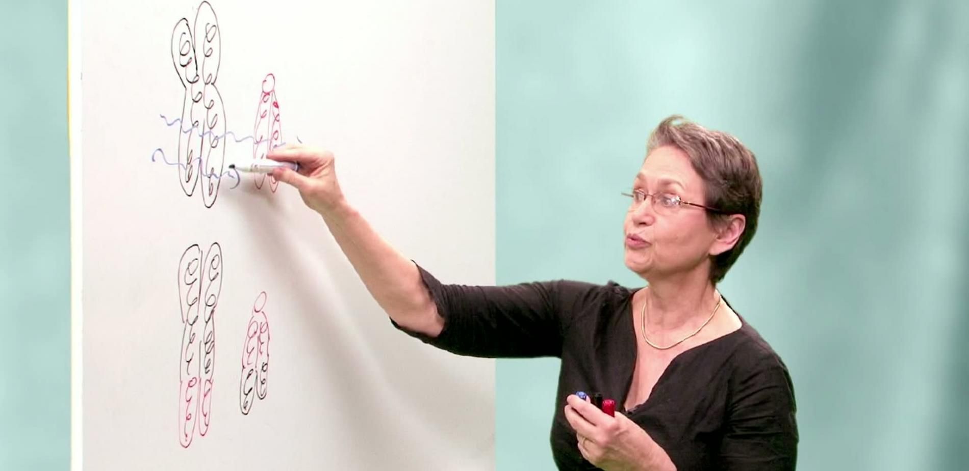 Les mutations génétiques