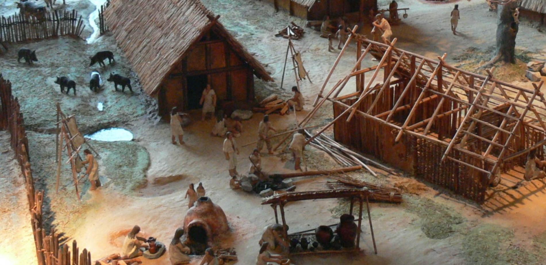 Un foyer de néolithisation en Nouvelle-Guinée