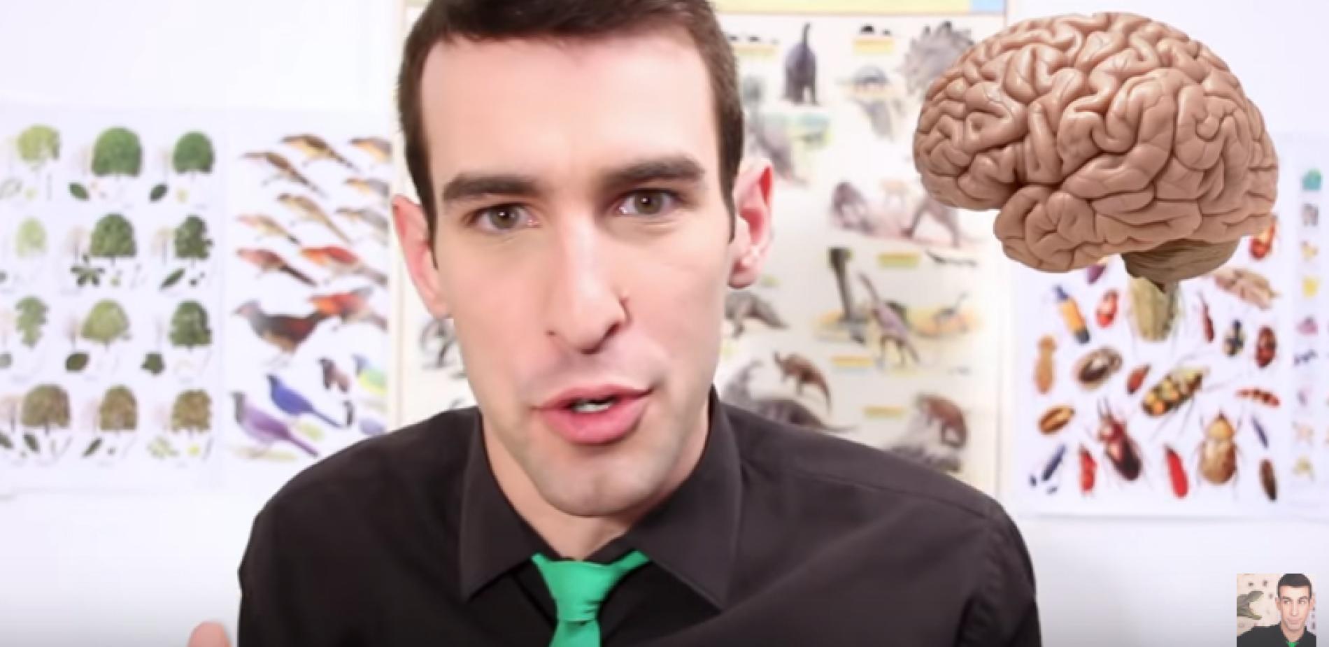 "On n'utilise que 10% de son cerveau !?"