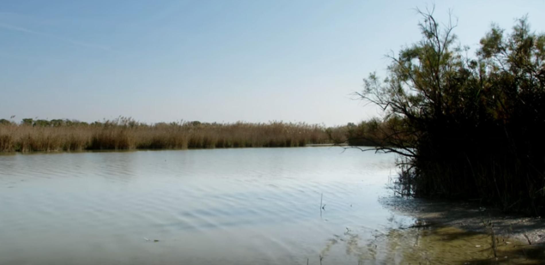 La Tour du Valat, un laboratoire à ciel ouvert