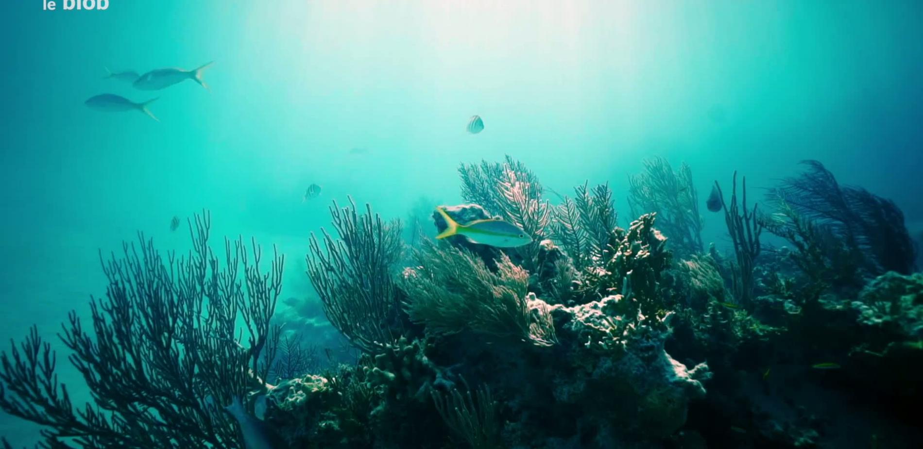 Une pêche plus naturelle