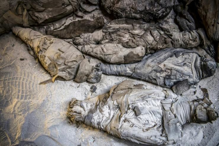 Des momies d'animaux découvertes dans une tombe datant de l'ère ptolémaïque, le 5 avril 2019 à Al-Diabat, près de la ville d'Akhmin, en Eqypte  © AFP Khaled DESOUKI