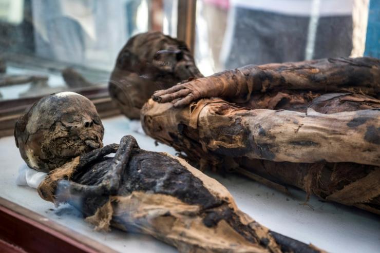 Des momies découvertes dans une tombe datant de l'ère ptolémaïque, le 5 avril 2019 à Al-Diabat, près de la ville d'Akhmin, en Egypte  © AFP Khaled DESOUKI