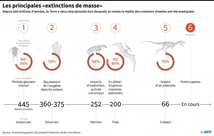 Extinctions de masse