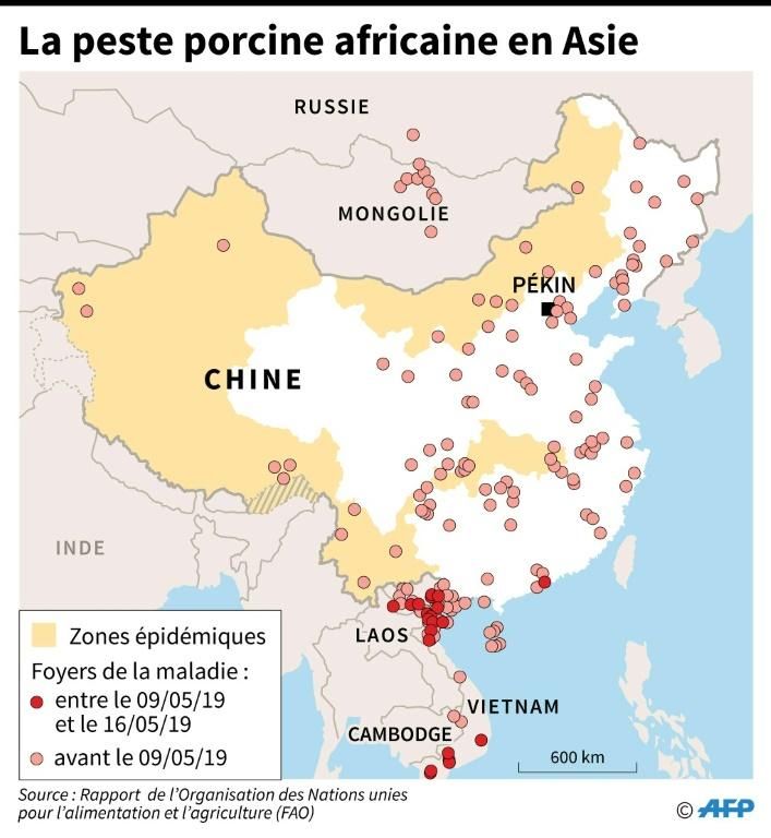 La peste porcine africaine en Asie  © AFP/Archives Alice LEFEBVRE