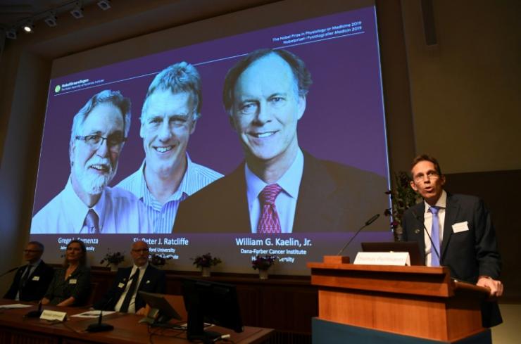 Les photos des vainqueurs du prix Nobel de médecine, les Américains William Kaelin et Gregg Semenza et le Britannique Peter Ratcliffe, le 7 octobre 2019 à l'Institut Karolinska de Stockholm, en Suède © AFP Jonathan NACKSTRAND