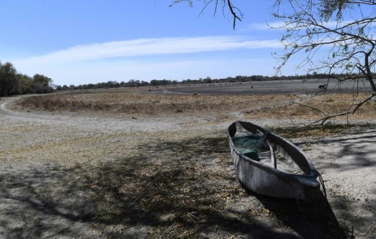 Sécheresse dans le delta d'Okavango, le 28 septembre 2019 au Botswana © AFP/Archives MONIRUL BHUIYAN