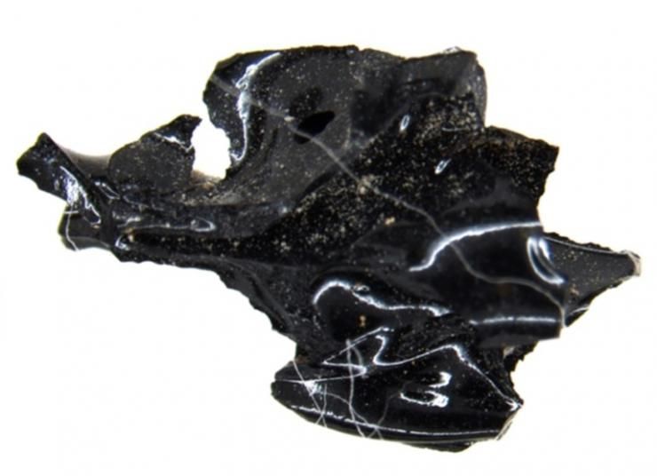 Fragment de cerveau d'une victime de l'éruption volcanique du Vésuve il y a près de deux mille ans © PRESS OFFICE OF THE HERCULANEUM ARCHAEOLOGICAL SITE/AFP Handout