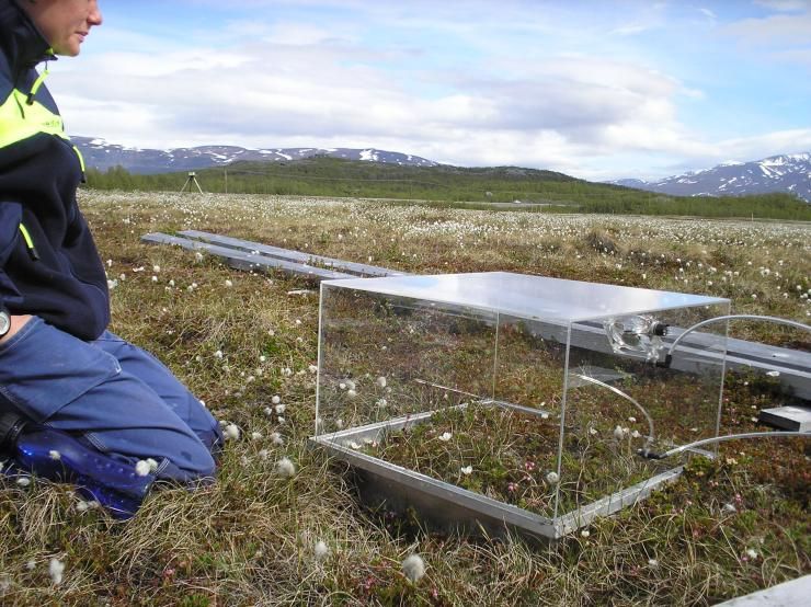 une chercheuse du projet ABoVE est agenouillée à côté d'une boîte vitrée posée sur le sol de la toundra en Suède. C'est une chambre de mesure des émission de méthane.