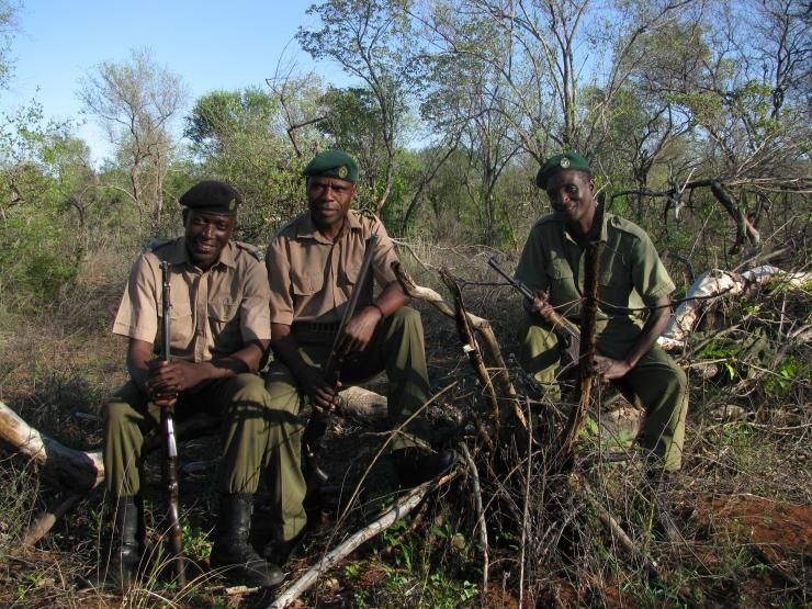 Rangers du parc national du Gonarezhou au Zimbabwe. Les rangers veillent sur les parcs nationaux notamment dans la lutte anti-braconnage et assurer leurs protection des chercheurs face à la faune sauvage mais partagent également leurs connaissances du milieu. 
