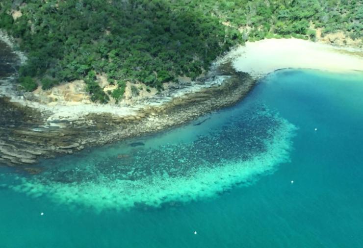 Portion de la Grande Barrière de corail affectée par le blanchissement