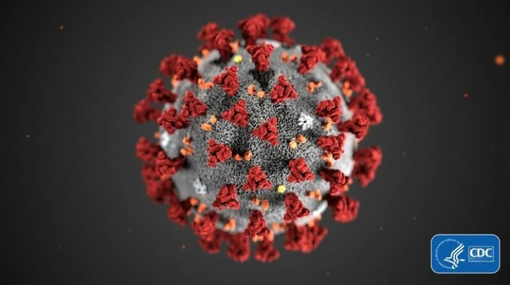 Image du nouveau coronavirus, le Covid-19, transmise par les Centres pour la prévention et le contrôle des maladies, à Washington, le 3 février 2020 © Centers for Disease Control and Prevention/AFP/Archives Alissa ECKERT
