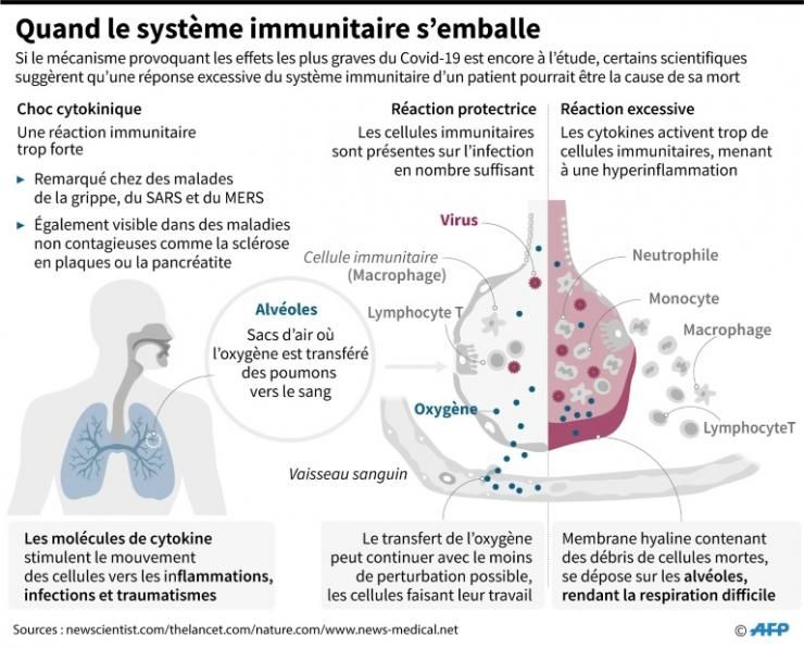 Graphique sur les chocs cytokinikes, réponses excessives du système immunitaire, qui pourraient être la cause de complications dans les cas les plus sévères de Covid-19 © AFP John SAEKI