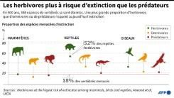 Les herbivores sont plus à risque d'extinction que les omnivores et les prédateurs © AFP John Saeki