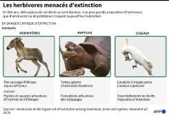 Les herbivores sont plus à risque d'extinction que les omnivores et les prédateurs © AFP John Saeki