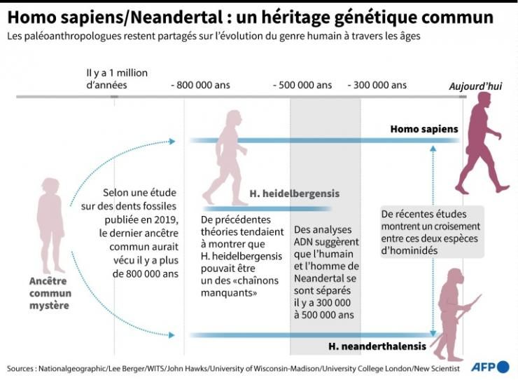 Image légendée