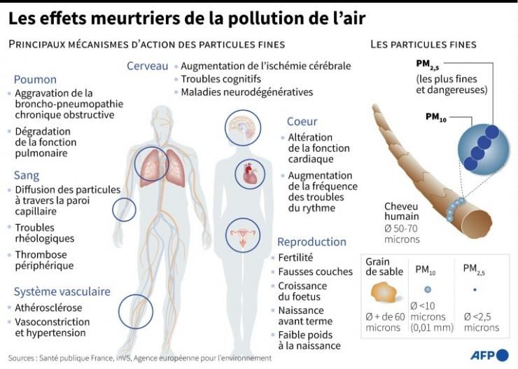 Les effets meurtriers de la pollution de l'air © AFP/Archives Alain BOMMENEL
