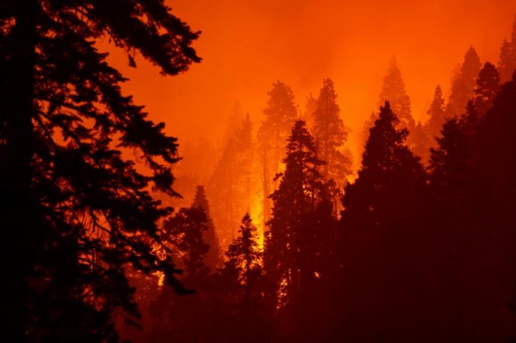 Un feu de forêt près de Camp Nelson, en Californie, le 14 septembre 2020 