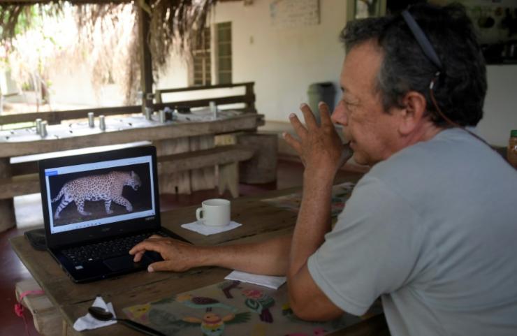 Le fermier colombien Jorge Barragan montre la photo d'un jaguar prise par un appareil automatique à la réserve naturel de La Aurora, dans la municipalité de Hato Corozal, Colombie, le 9 avril 2021 