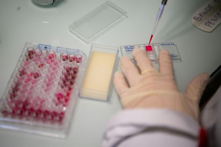 Les anticorps neutralisant le Covid restent dans le sang pendant au moins huit mois après une infection, selon une étude italienne 