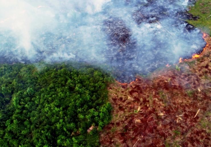 La forêt amazonienne devient source de CO2, et non d'oxygène, en raison de la déforestation et de la dégradation de la forêt © AFP/Archives Chico Batata
