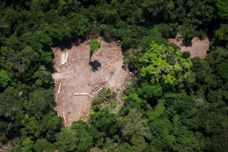 Photo d'une zone de déforestation illégale en Amazonie, prise par Greenpeace le 14 octobre 2014 © AFP/Archives Raphael Alves