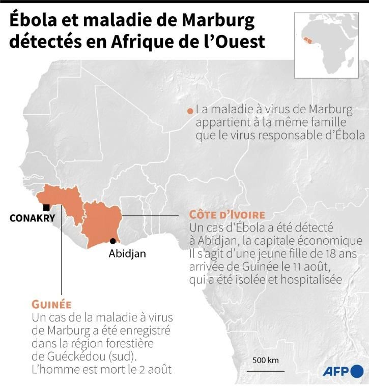 Carte et données sur les deux cas d'Ebola et de maladie à virus de Marburg, détectés en Côte d'Ivoire et en Guinée
