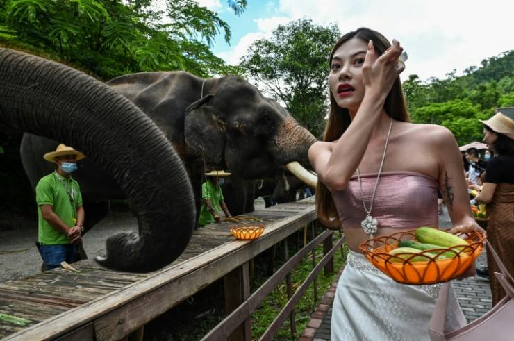 Des visiteurs nourrissent des éléphants dans une réserve touristique à Xishuangbanna, dans le sud-ouest de la Chine, le 21 juillet 2021 © AFP Hector Retamal