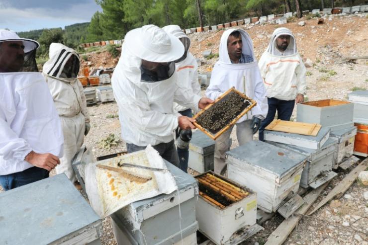 Des apiculteurs près de leurs ruches dans le village de Cokek, en Turquie, le 23 septembre 2021 © AFP Adem ALTAN