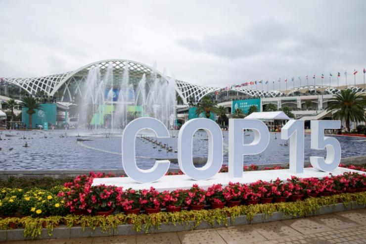 Ouverture de la COP15 à Kunming, le 11 octobre 2021 en Chine © AFP STR