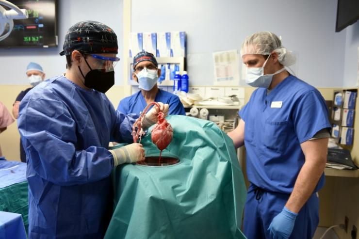 Des chirurgiens ont transplanté pour la première fois un coeur de porc chez un humain, le 7 janvier 2022, à Baltimore dans le Maryland © UNIVERSITY OF MARYLAND SCHOOL OF MEDICINE/AFP -