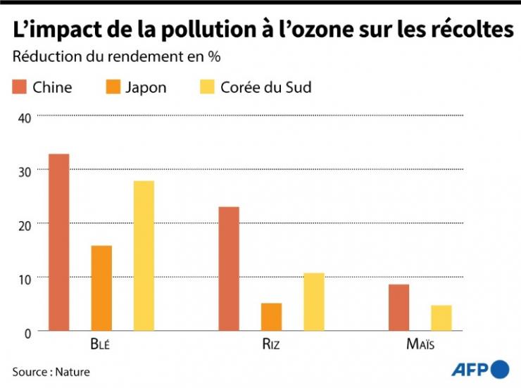 Graphique montrant les pertes de récoltes de céréales dues à la pollution à l'ozone en Chine, au Japon et Corée du Sud, selon une étude publiée dans Nature © AFP Jonathan WALTER