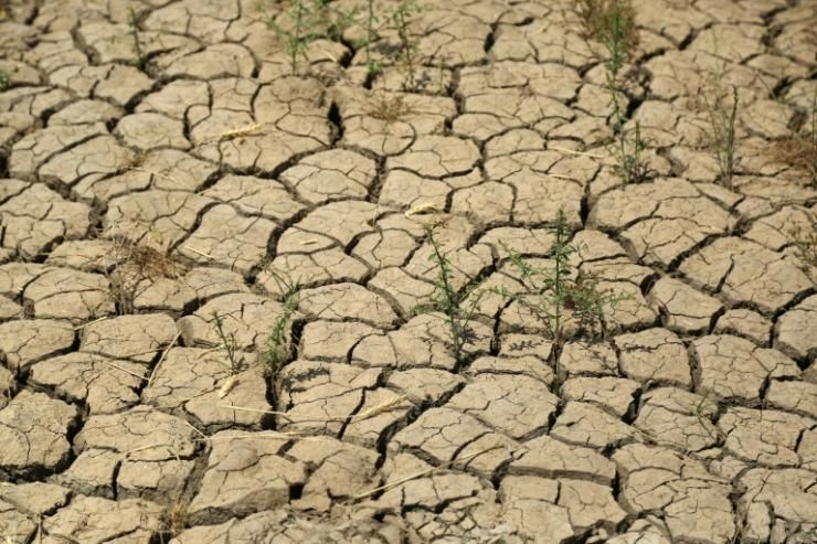 Une terre craquelée par la sécheresse dans la région agricole de Jaliha, dans le centre de l'Irak, le 26 avril 2022 © AFP Haidar INDHAR