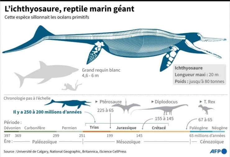 Reptile marin géant © AFP John SAEKI