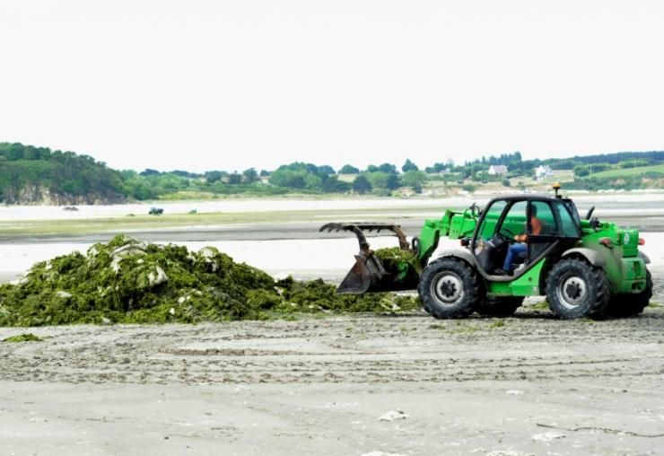 Les Capteurs D’hydrogène Triplent Sur Les Plages D’algues Vertes | Le ...