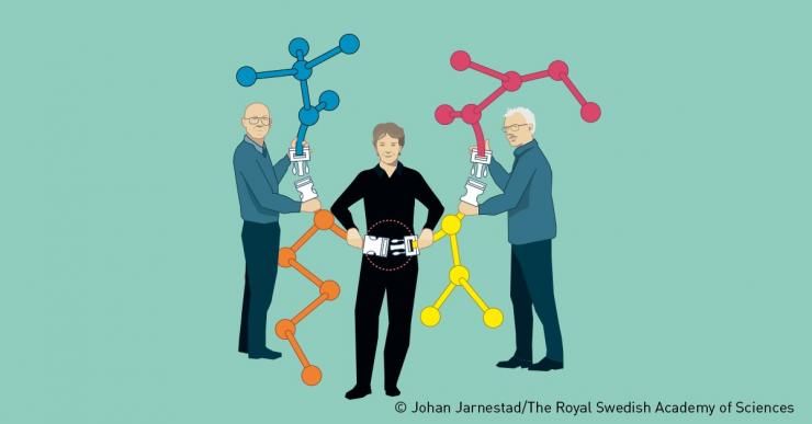 Barry Sharpless, Carolyn Bertozzi et Morten Meldal ont été récompensés pour leurs travaux sur la « chimie du clic » © Johan Jarnestad / The Royal Swedish Academy of Sciences