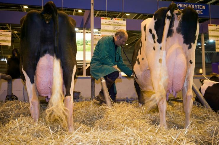 L'administration d'antibiotiques aux animaux d'élevage baisse de manière quasi continue en France depuis dix ans, selon l'agence sanitaire Anses © AFP/Archives Joël Saget
