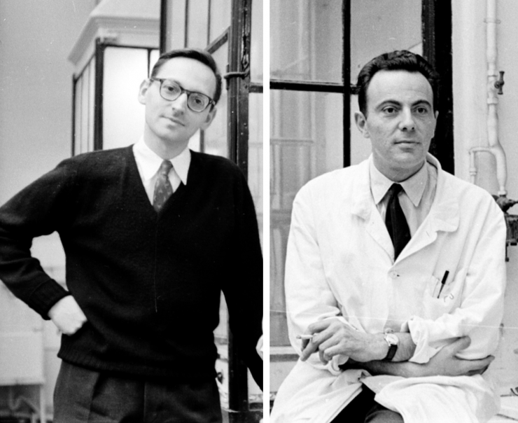 François Gros vers 1960 (à gauche) et François Jacob en 1955 (à droite) © Institut Pasteur/Archives Jacques Monod
