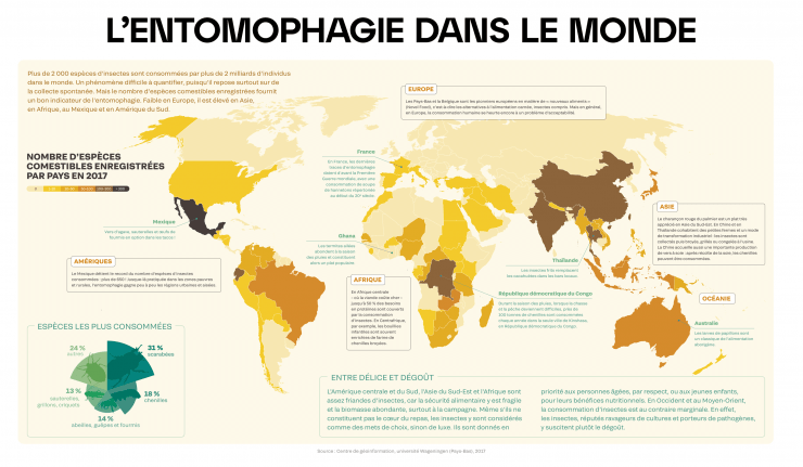 Nourrir l'humanité avec des insectes comestibles