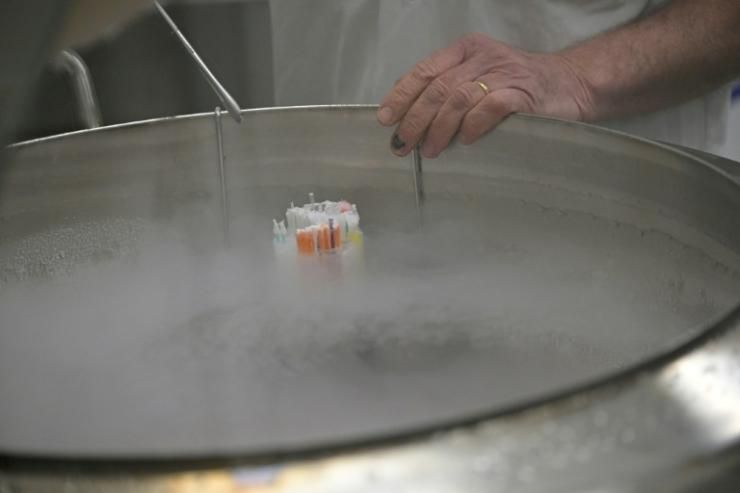 Image légendée